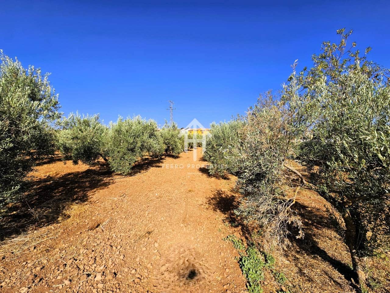 Landgrundstück zu verkaufen in Moraleda de Zafayona - 195.000 € (Ref: 9152627)