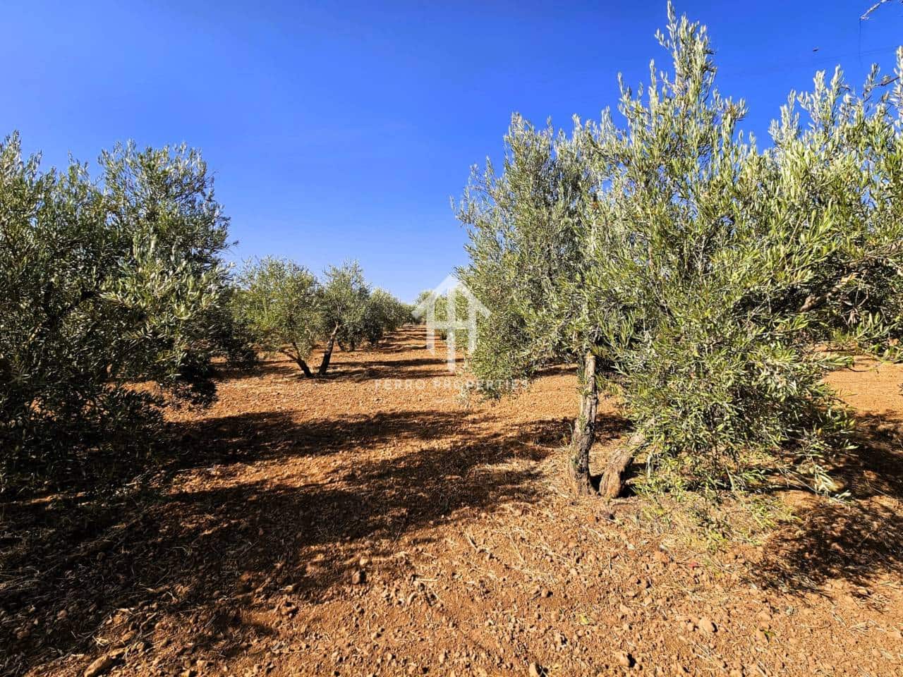 Landgrundstück zu verkaufen in Moraleda de Zafayona - 195.000 € (Ref: 9152627)