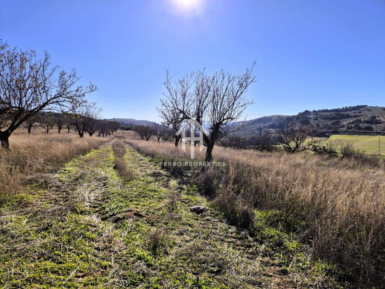 Finka/Dom wiejski na sprzedaż w Alhama de Granada - 230 000 € (Ref: 9152631)