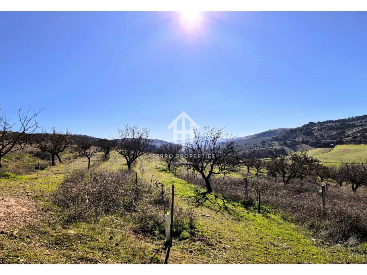 Finka/Dom wiejski na sprzedaż w Alhama de Granada - 230 000 € (Ref: 9152631)