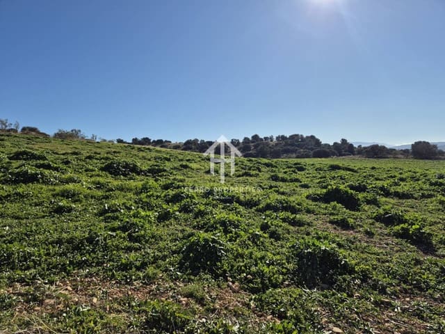 Finka/Dom wiejski na sprzedaż w Alhama de Granada - 230 000 € (Ref: 9152631)