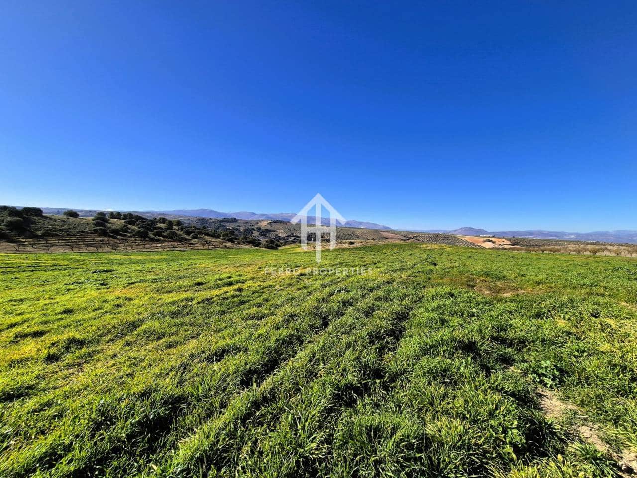 Finka/Dom wiejski na sprzedaż w Alhama de Granada - 230 000 € (Ref: 9152631)