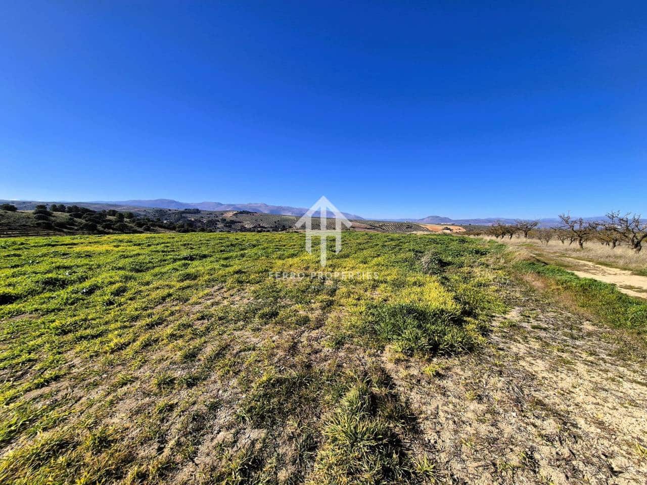 Finka/Dom wiejski na sprzedaż w Alhama de Granada - 230 000 € (Ref: 9152631)