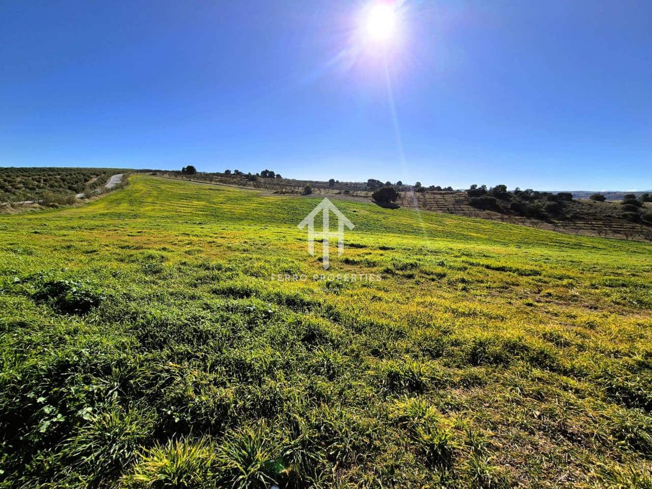 Finka/Dom wiejski na sprzedaż w Alhama de Granada - 230 000 € (Ref: 9152631)