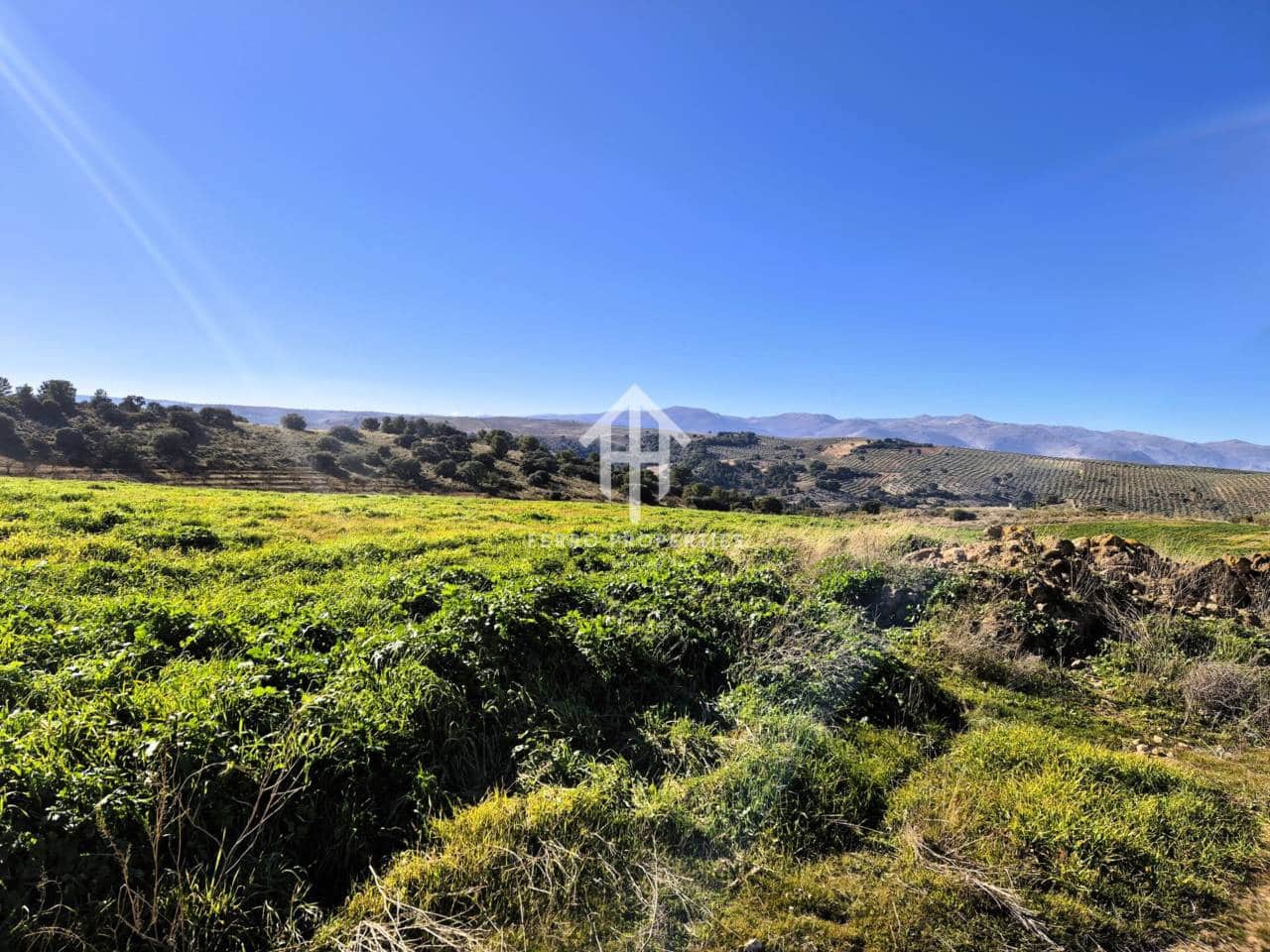 Finka/Dom wiejski na sprzedaż w Alhama de Granada - 230 000 € (Ref: 9152631)