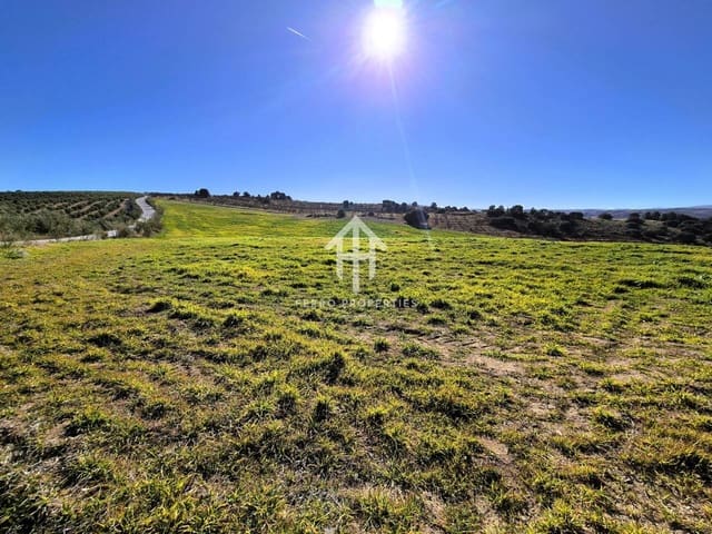 Finka/Dom wiejski na sprzedaż w Alhama de Granada - 230 000 € (Ref: 9152631)