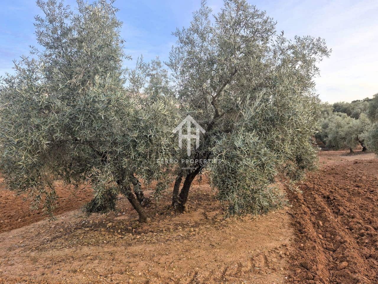 Maalaistalo myytävänä paikassa Ventorros de la Laguna - 315 000 € (Ref: 9152637)