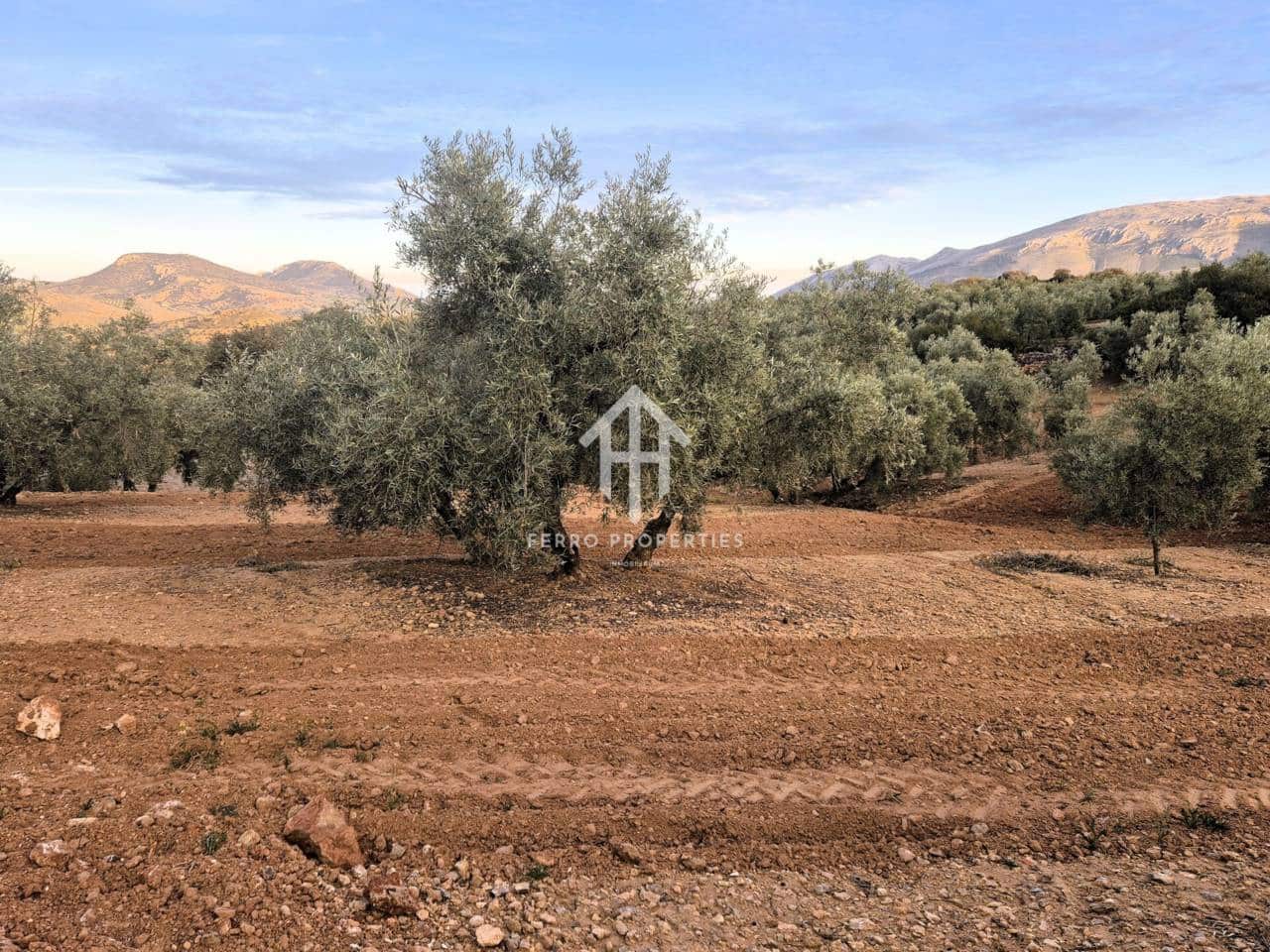 Maalaistalo myytävänä paikassa Ventorros de la Laguna - 315 000 € (Ref: 9152637)