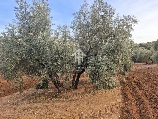 Maalaistalo myytävänä paikassa Ventorros de la Laguna, Loja - 315 000 € (Ref: 9152637)