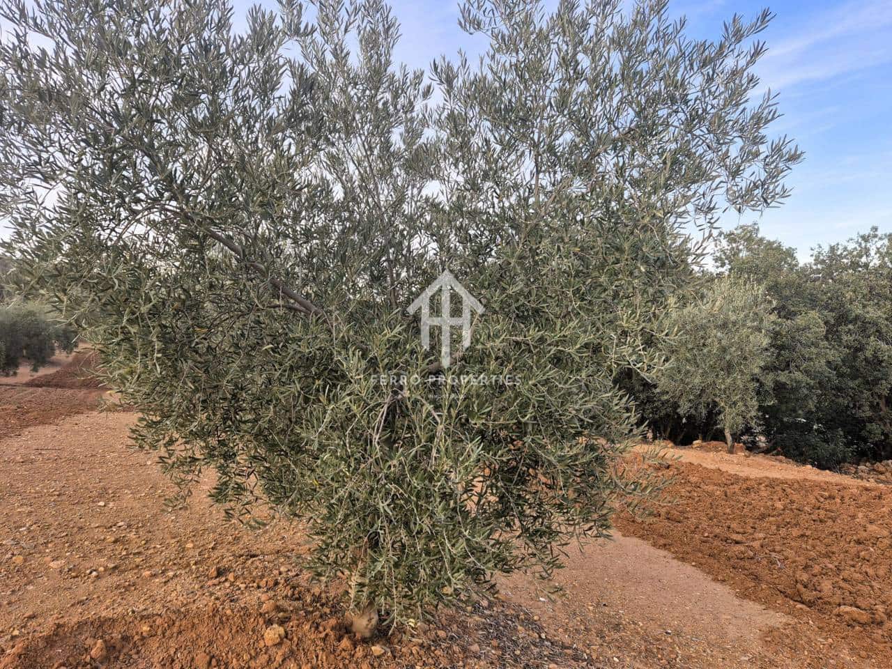 Maalaistalo myytävänä paikassa Ventorros de la Laguna - 315 000 € (Ref: 9152637)