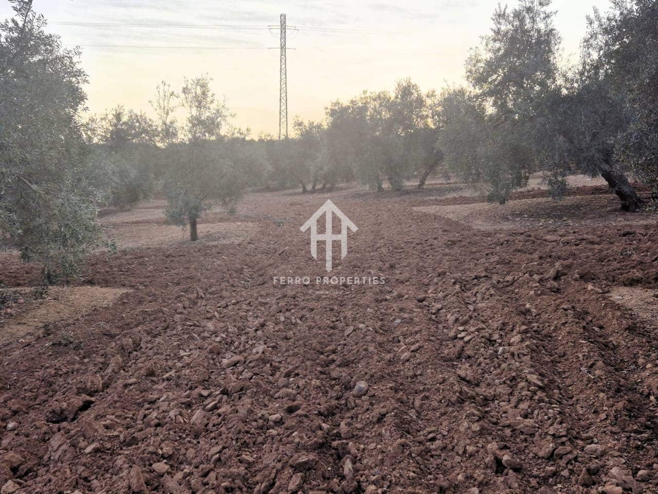 Maalaistalo myytävänä paikassa Ventorros de la Laguna - 315 000 € (Ref: 9152637)