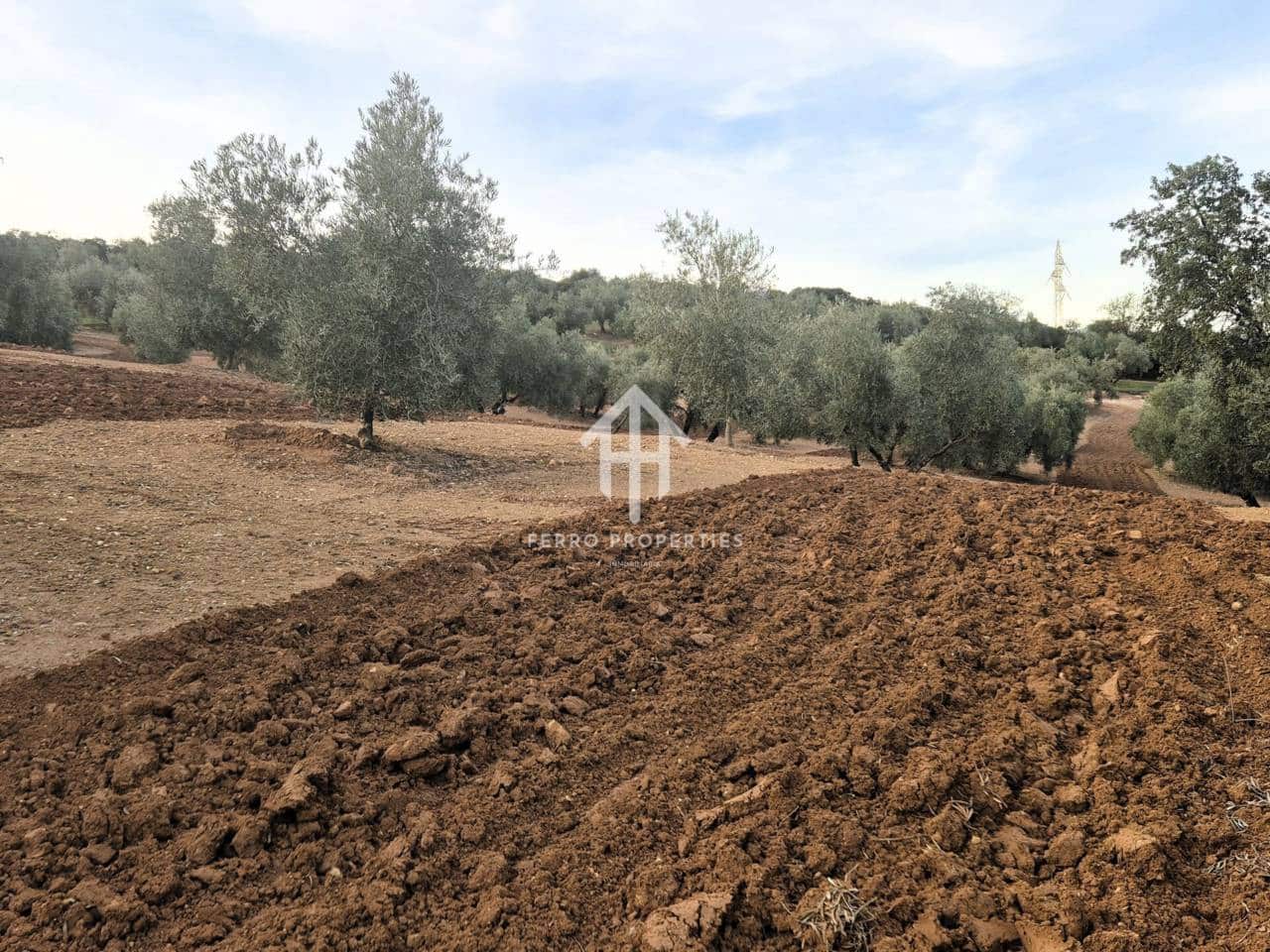 Maalaistalo myytävänä paikassa Ventorros de la Laguna - 315 000 € (Ref: 9152637)