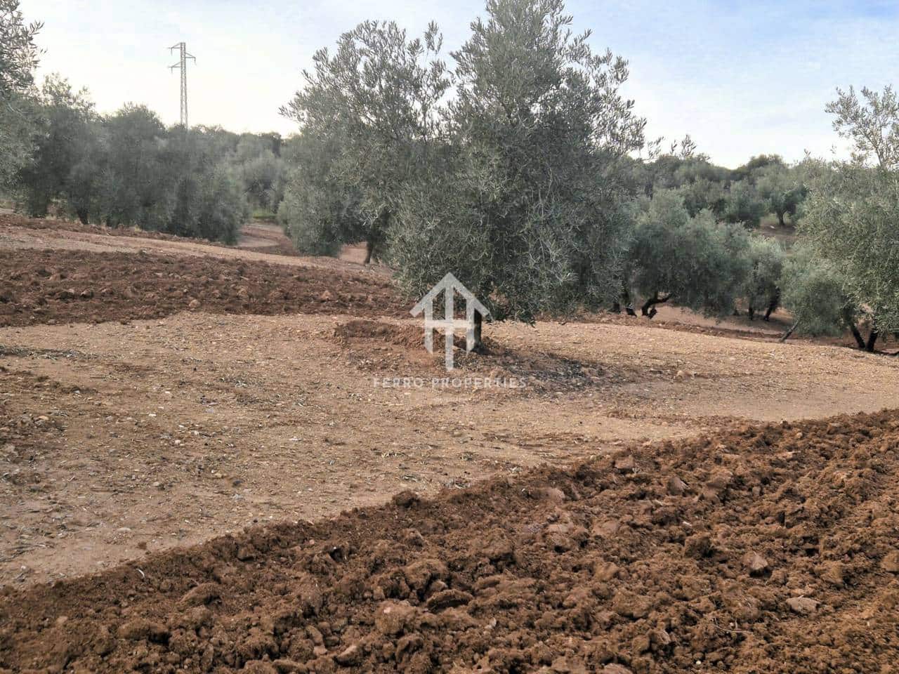 Maalaistalo myytävänä paikassa Ventorros de la Laguna - 315 000 € (Ref: 9152637)