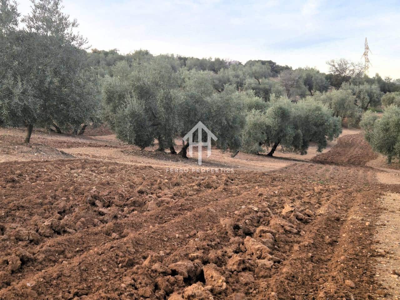 Maalaistalo myytävänä paikassa Ventorros de la Laguna - 315 000 € (Ref: 9152637)