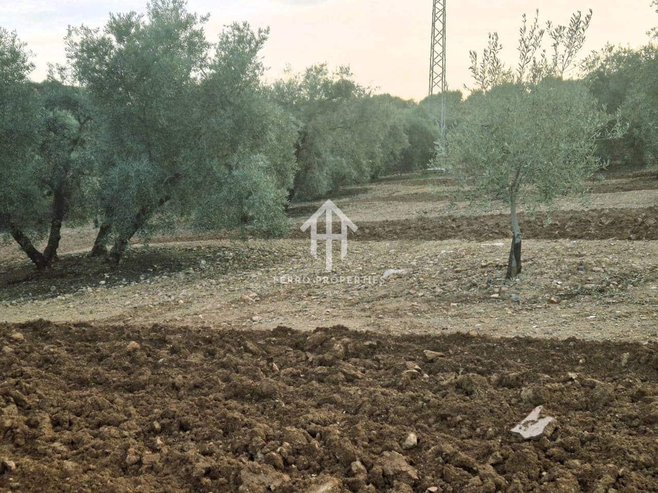 Maalaistalo myytävänä paikassa Ventorros de la Laguna - 315 000 € (Ref: 9152637)