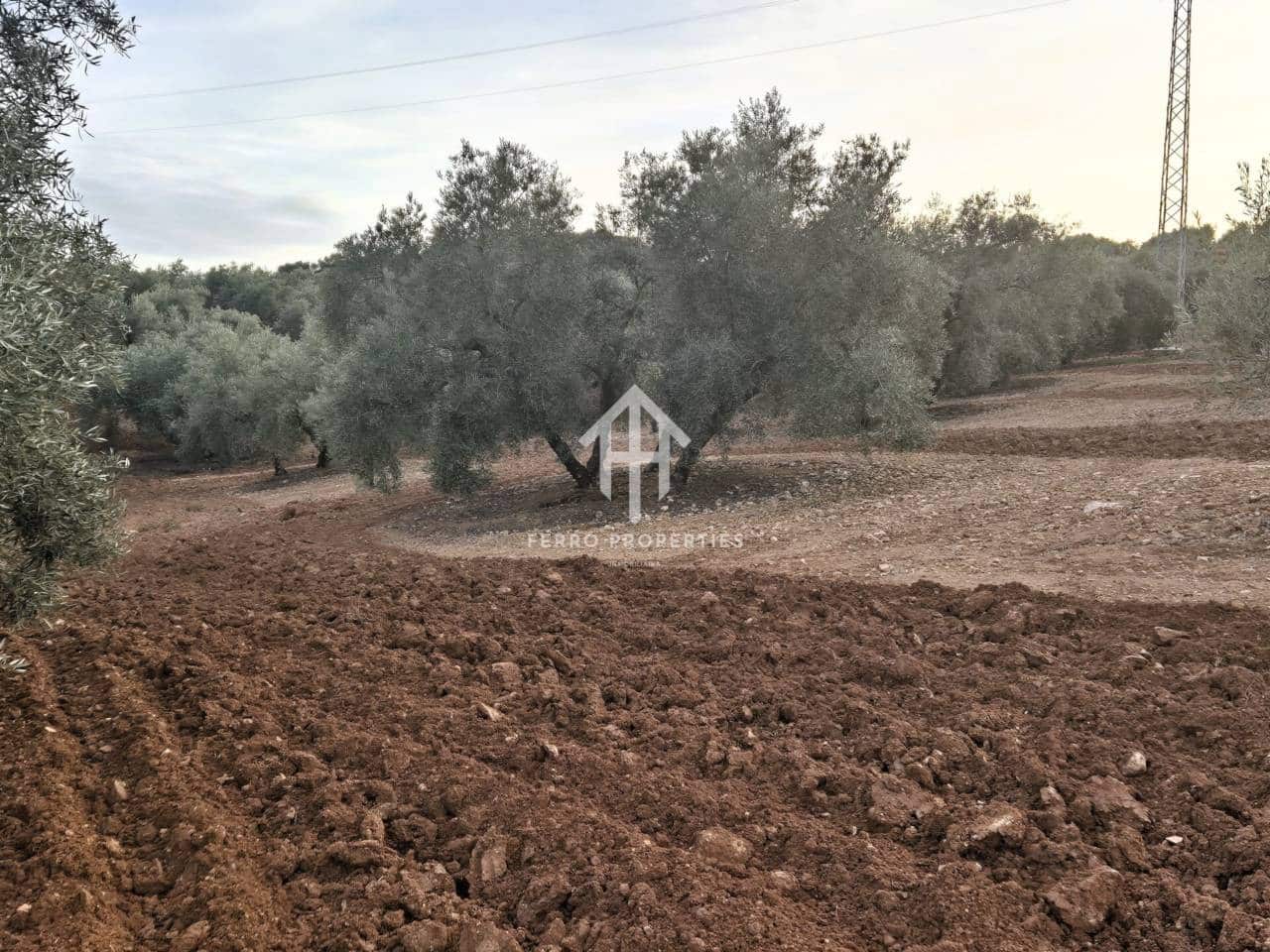 Maalaistalo myytävänä paikassa Ventorros de la Laguna - 315 000 € (Ref: 9152637)