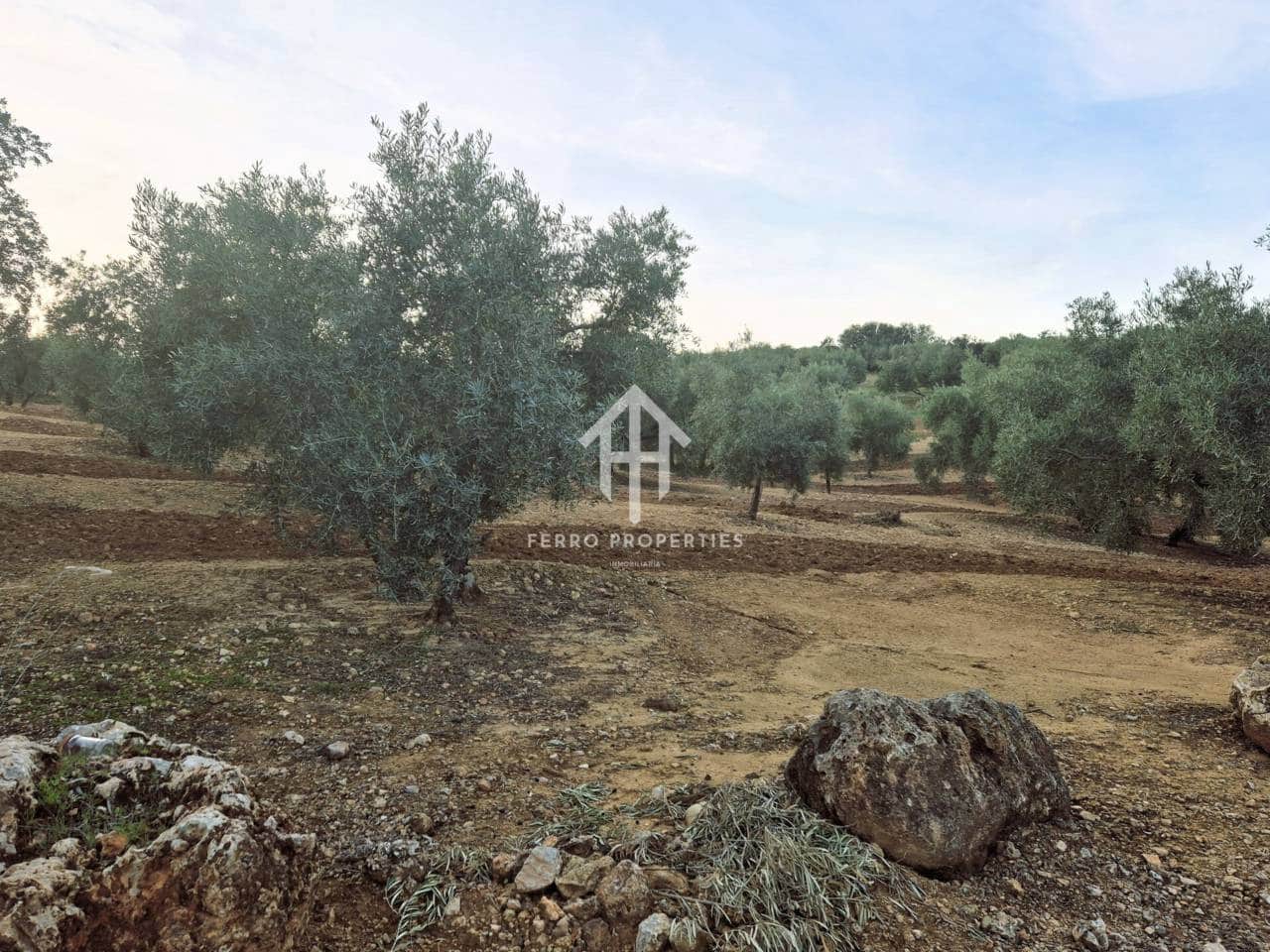 Maalaistalo myytävänä paikassa Ventorros de la Laguna - 315 000 € (Ref: 9152637)