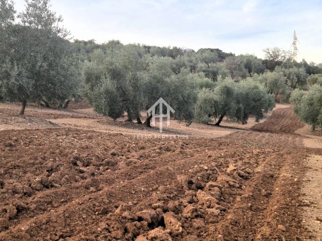 Maalaistalo myytävänä paikassa Ventorros de la Laguna, Loja - 315 000 € (Ref: 9152637)