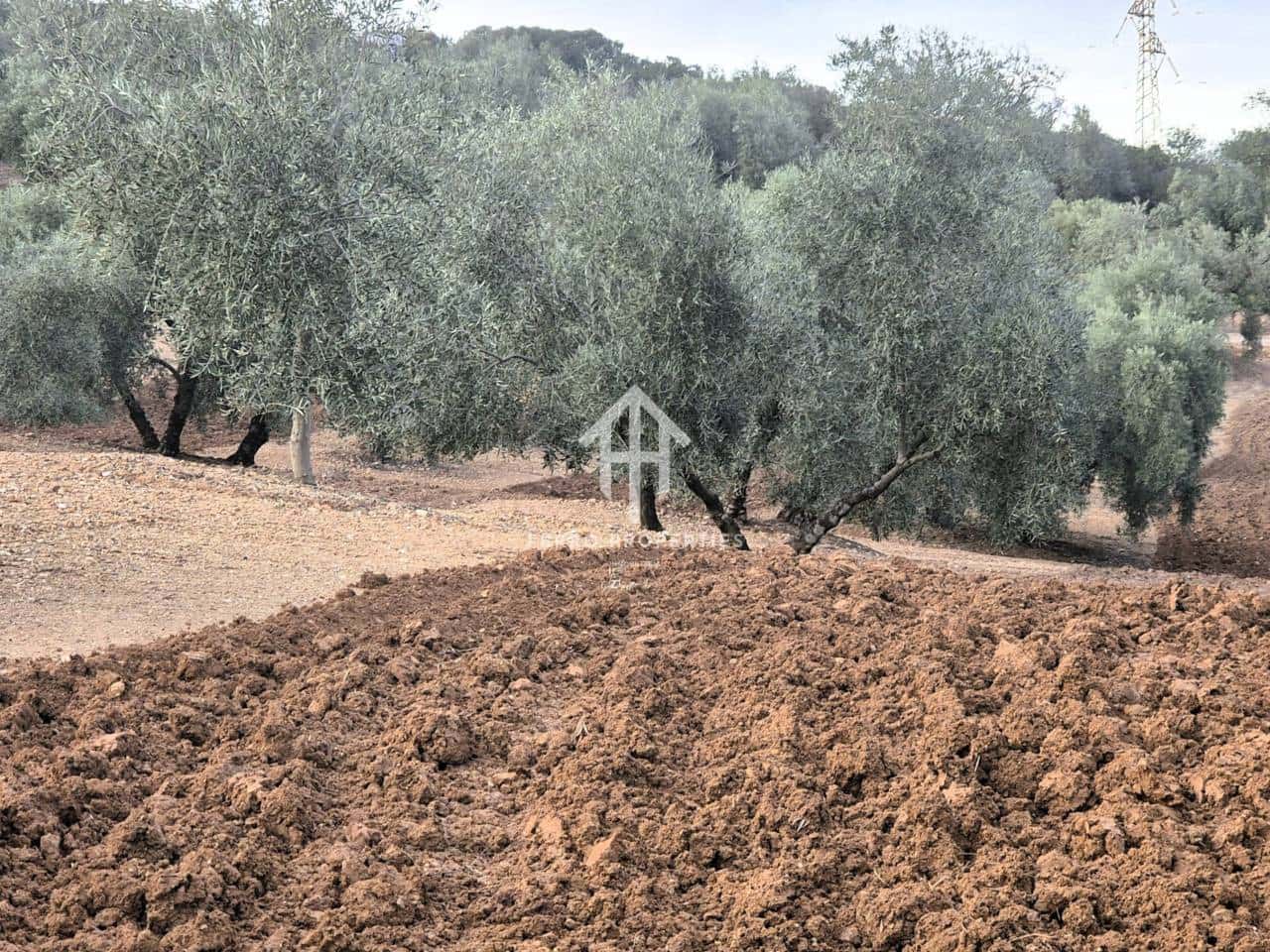 Maalaistalo myytävänä paikassa Ventorros de la Laguna - 315 000 € (Ref: 9152637)