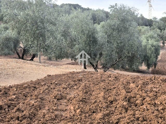 Maalaistalo myytävänä paikassa Ventorros de la Laguna, Loja - 315 000 € (Ref: 9152637)