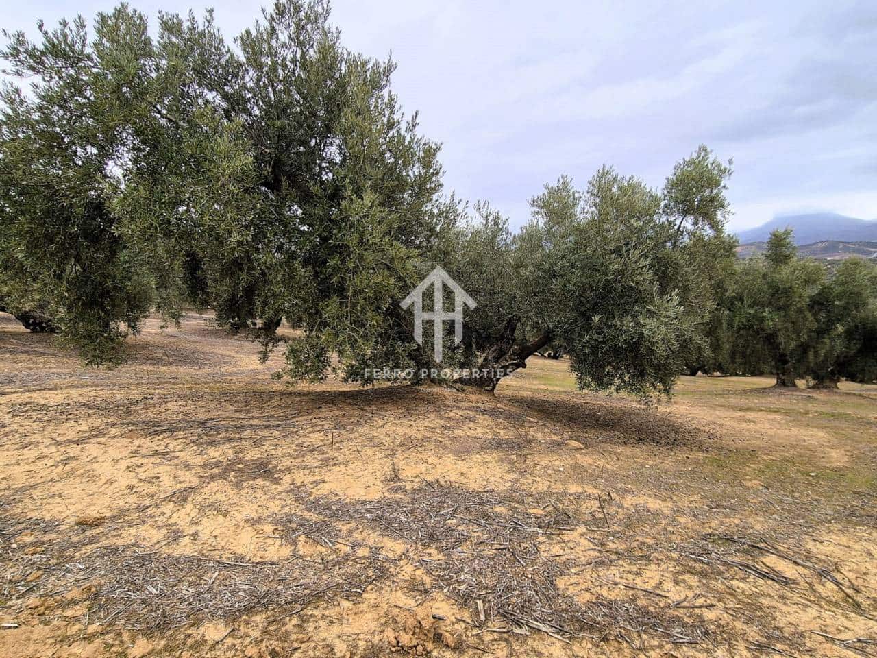 Finca/Landehus til salg i Riofrio - € 315.000 (Ref: 9152638)