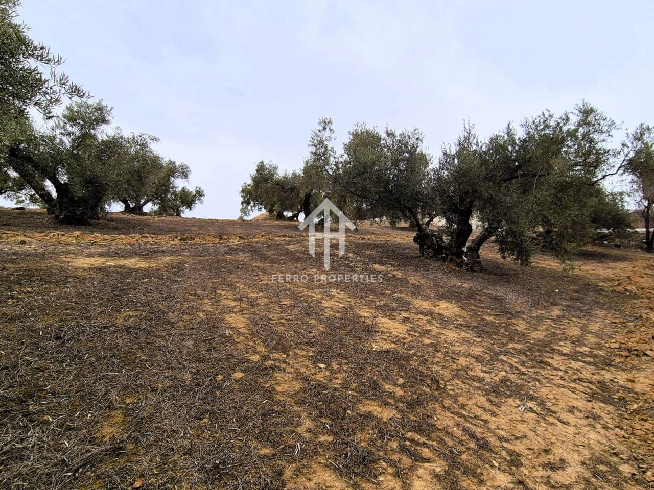 Finca/Landehus til salg i Riofrio - € 315.000 (Ref: 9152638)