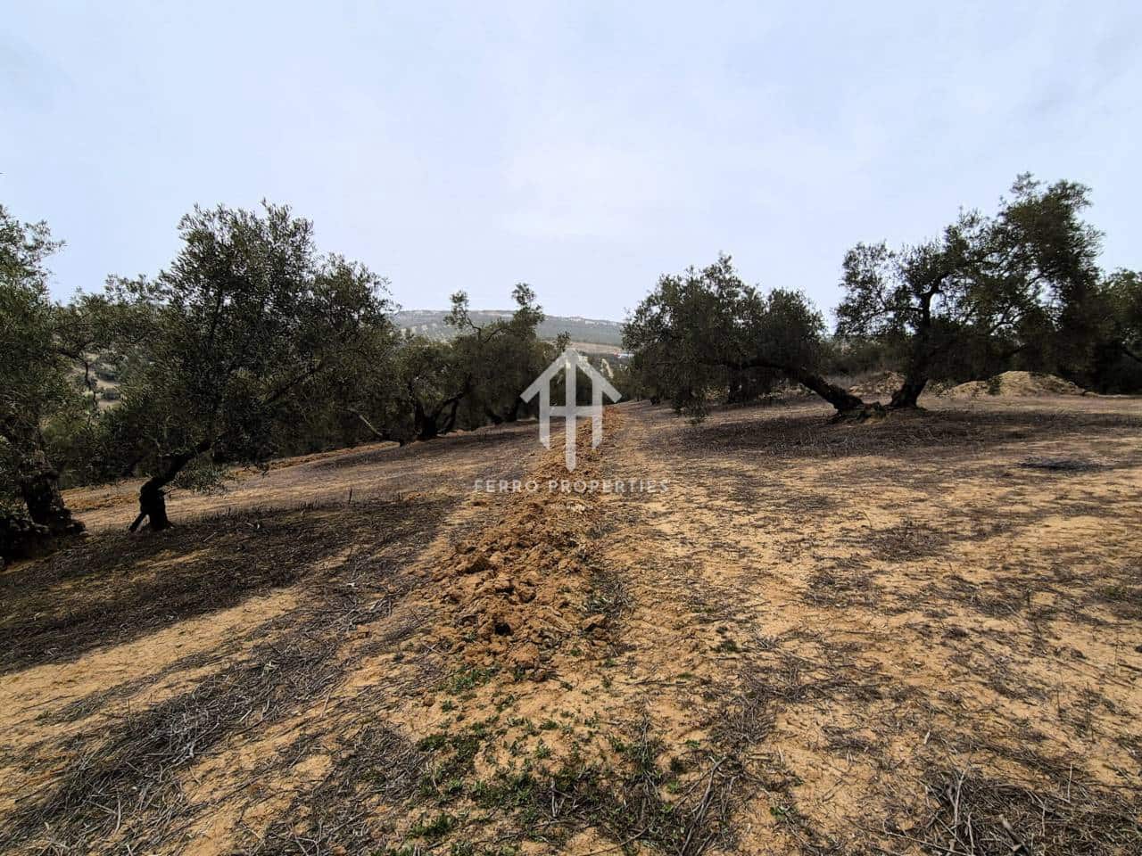 Finca/Landehus til salg i Riofrio - € 315.000 (Ref: 9152638)