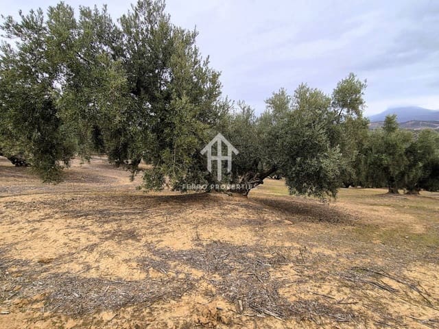 Finca/Landehus til salg i Riofrío, Loja - € 315.000 (Ref: 9152638)