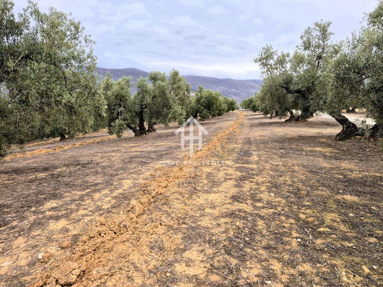 Finca/Landehus til salg i Riofrio - € 315.000 (Ref: 9152638)