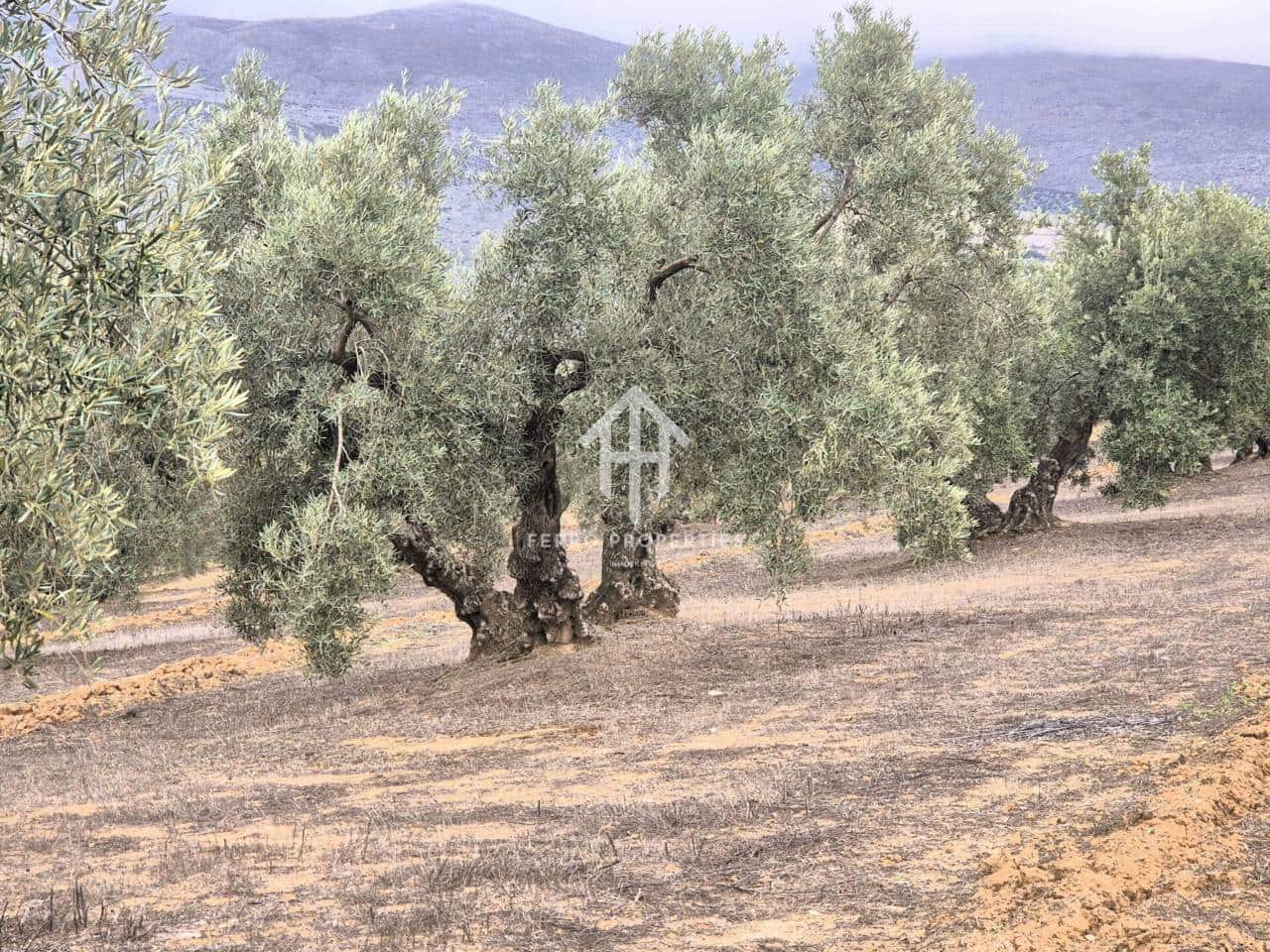 Finca/Landehus til salg i Riofrio - € 315.000 (Ref: 9152638)