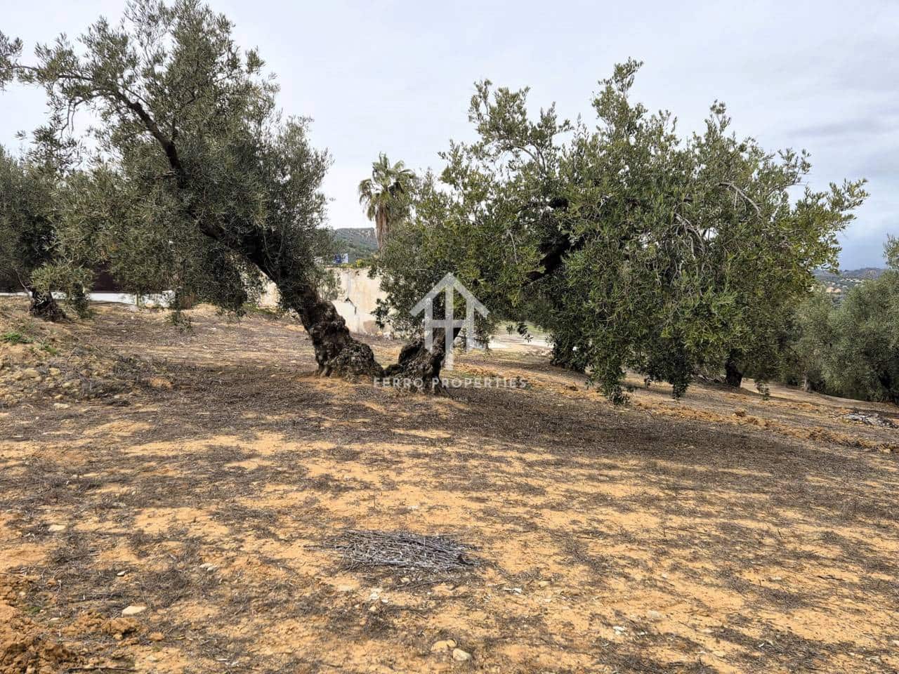 Finca/Landehus til salg i Riofrio - € 315.000 (Ref: 9152638)