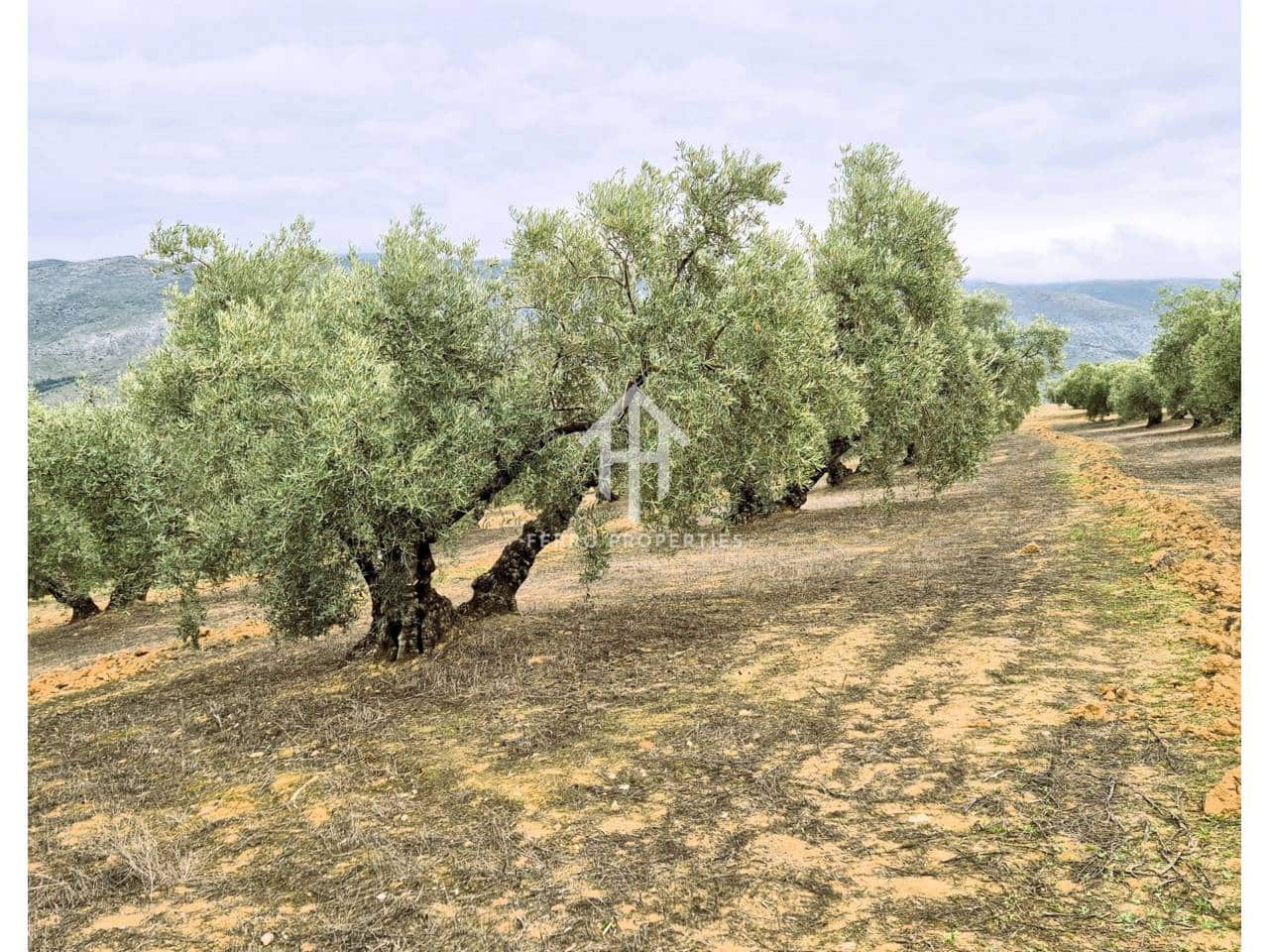 Finca/Landehus til salg i Riofrio - € 315.000 (Ref: 9152638)