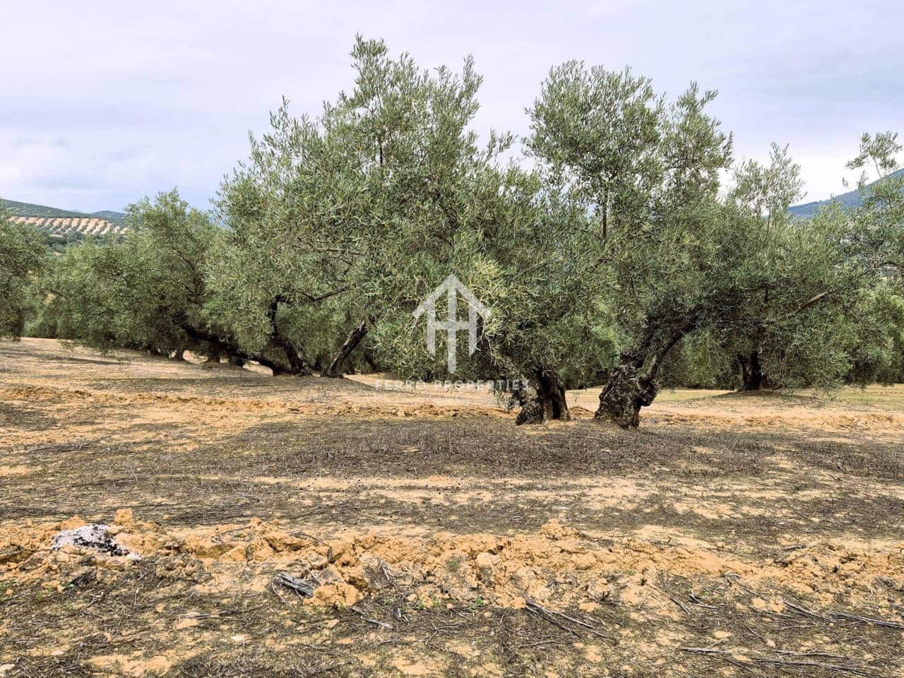 Finca/Landehus til salg i Riofrio - € 315.000 (Ref: 9152638)