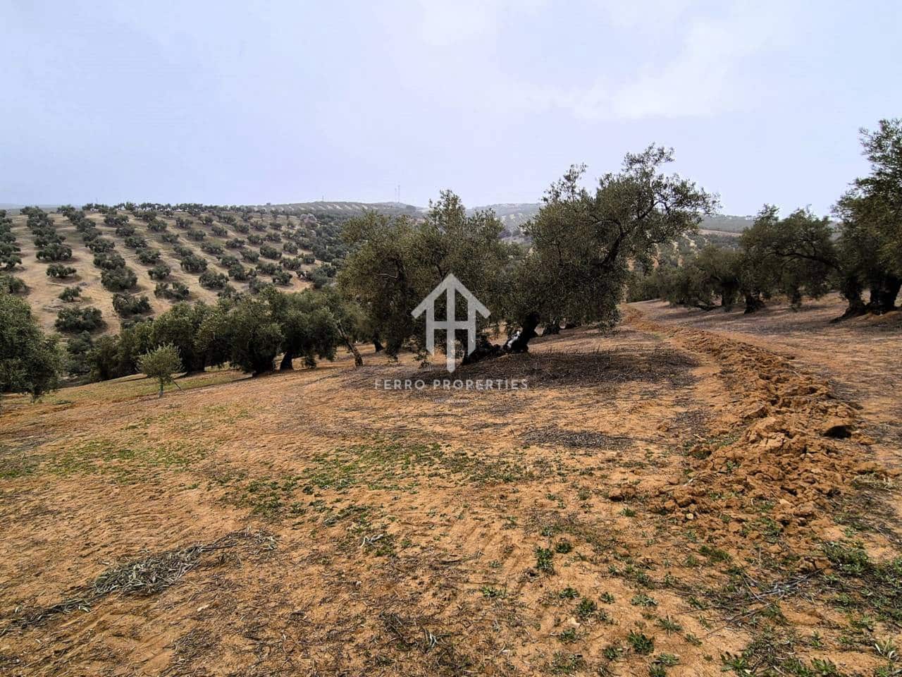 Finca/Landehus til salg i Riofrio - € 315.000 (Ref: 9152638)