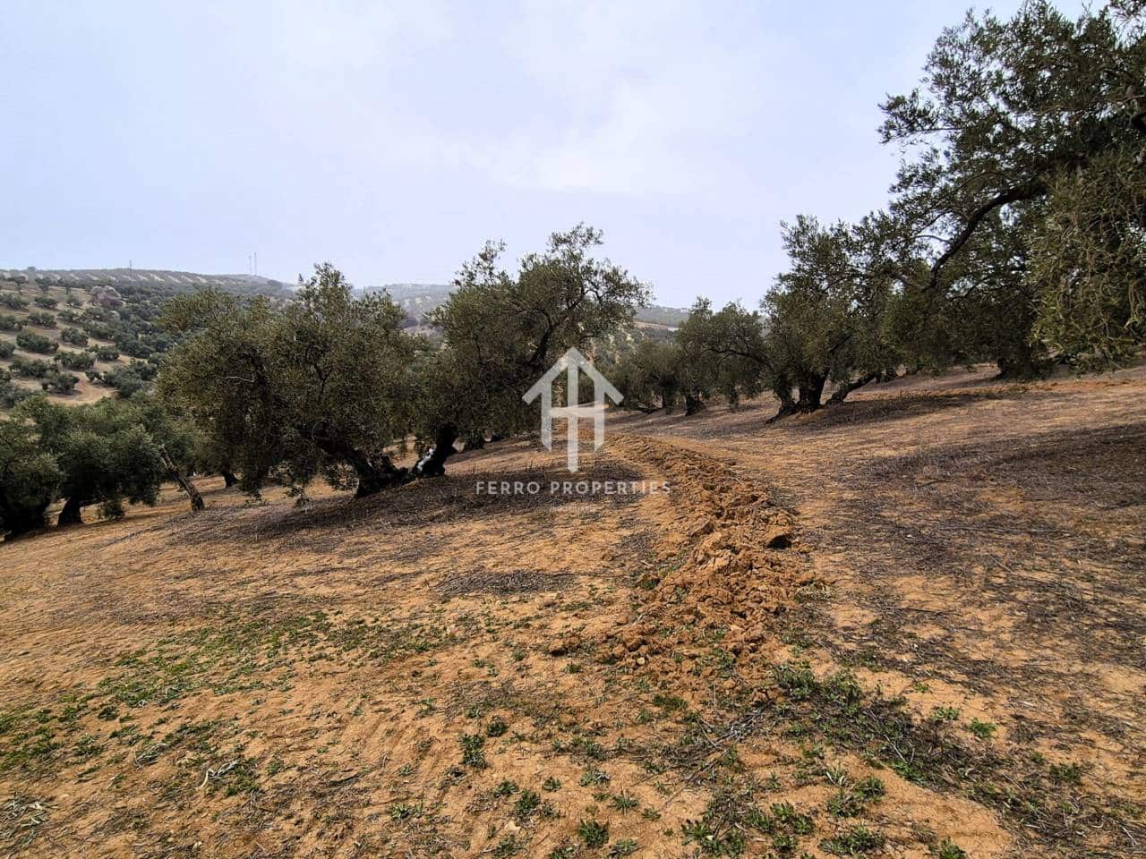 Finca/Landehus til salg i Riofrio - € 315.000 (Ref: 9152638)