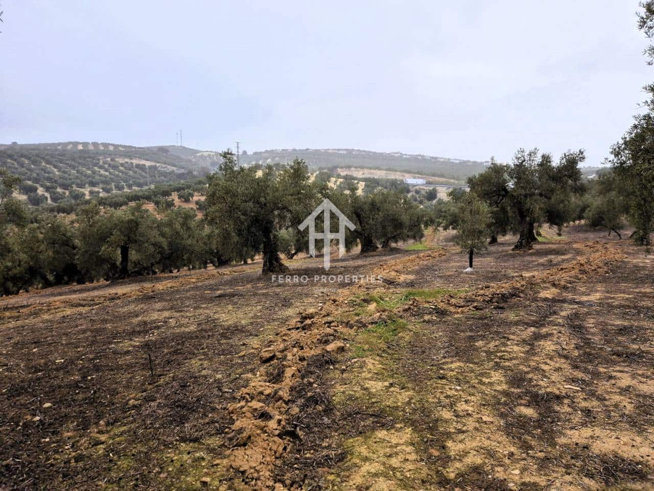 Finca/Landehus til salg i Riofrio - € 315.000 (Ref: 9152638)