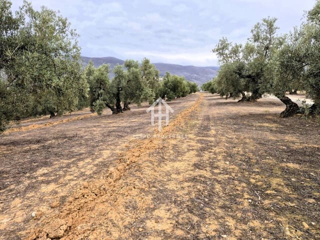 Finca/Landehus til salg i Riofrío, Loja - € 315.000 (Ref: 9152638)