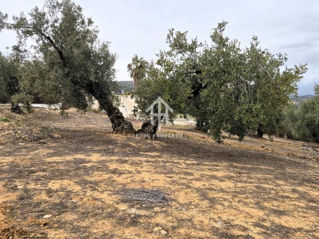 Finca/Landehus til salg i Riofrío, Loja - € 315.000 (Ref: 9152638)