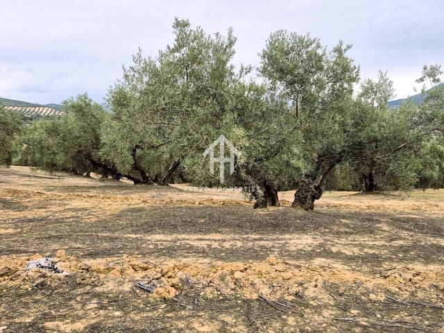 Finca/Landehus til salg i Riofrío, Loja - € 315.000 (Ref: 9152638)