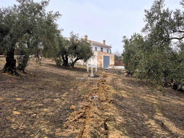 Finca/Landehus til salg i Riofrío, Loja - € 315.000 (Ref: 9152638)