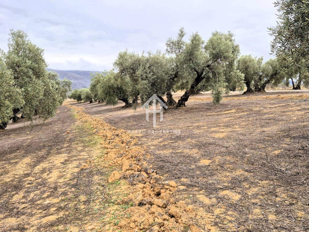 Finca/Landehus til salg i Riofrio - € 315.000 (Ref: 9152638)