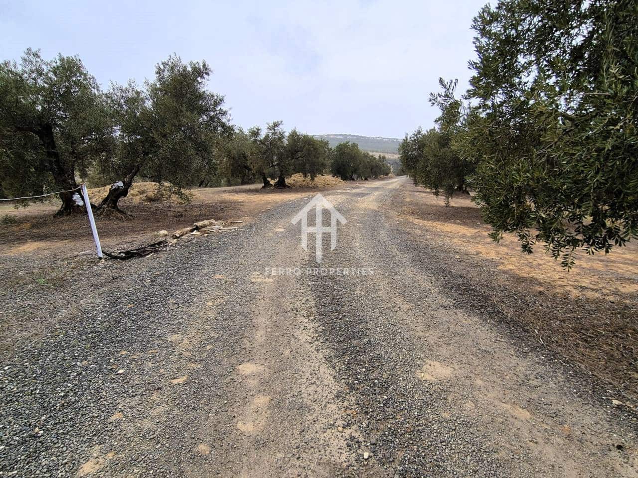 Finca/Landehus til salg i Riofrio - € 315.000 (Ref: 9152638)