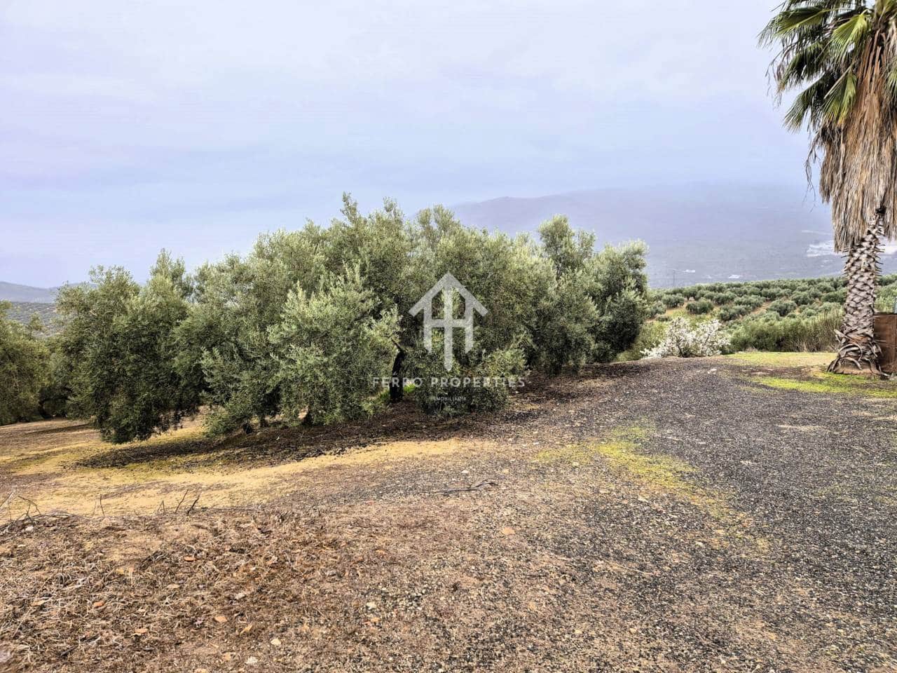 Finca/Landehus til salg i Riofrio - € 315.000 (Ref: 9152638)