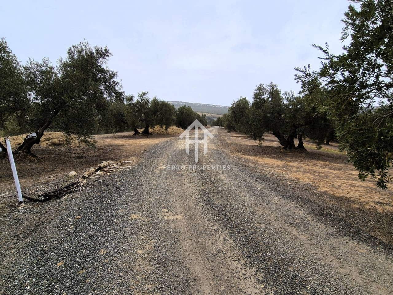 Finca/Landehus til salg i Riofrio - € 315.000 (Ref: 9152638)