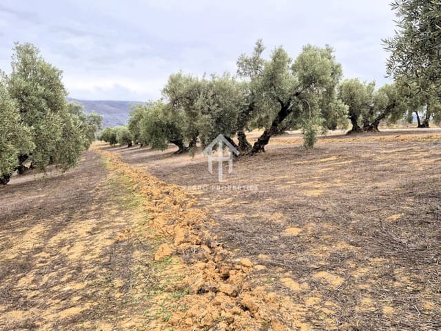 Finca/Landehus til salg i Riofrío, Loja - € 315.000 (Ref: 9152638)