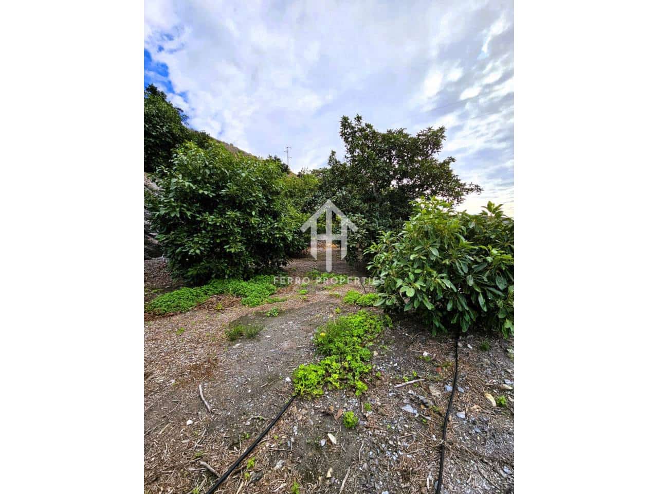 Finca/Landhuis te koop in Motril - € 645.000 (Ref: 9152642)