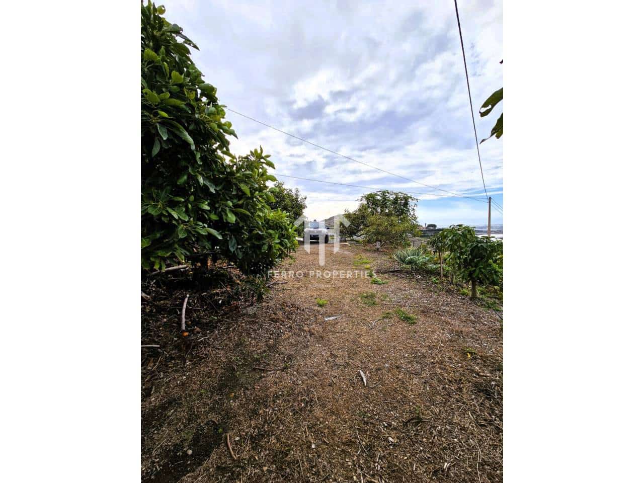 Finca/Landhuis te koop in Motril - € 645.000 (Ref: 9152642)