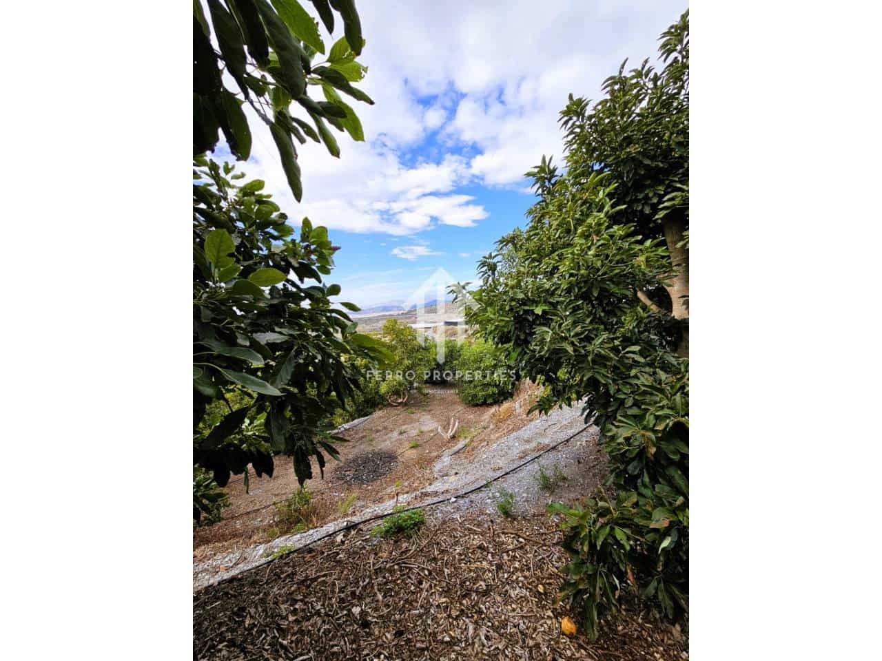 Finca/Landhuis te koop in Motril - € 645.000 (Ref: 9152642)