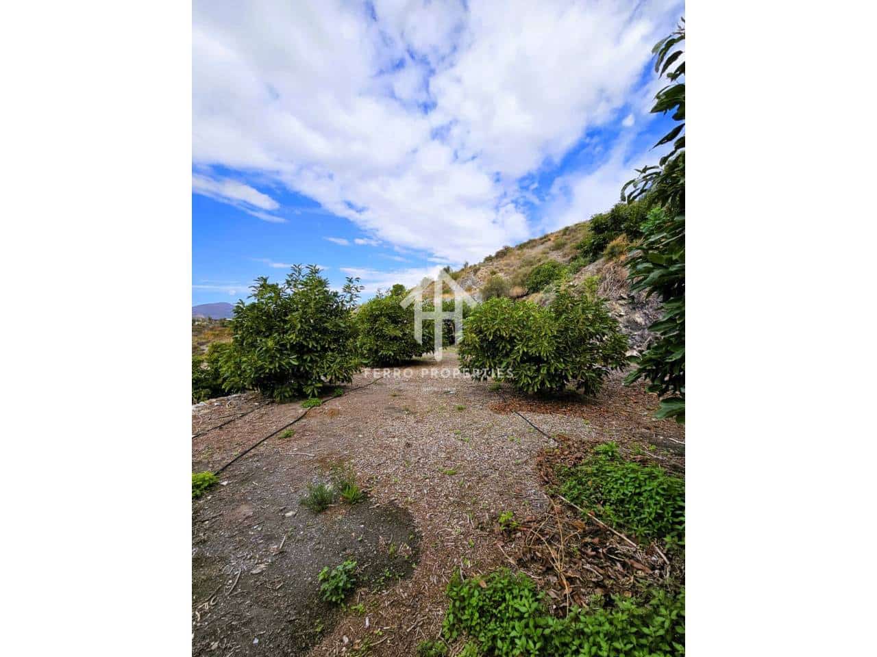 Finca/Landhuis te koop in Motril - € 645.000 (Ref: 9152642)