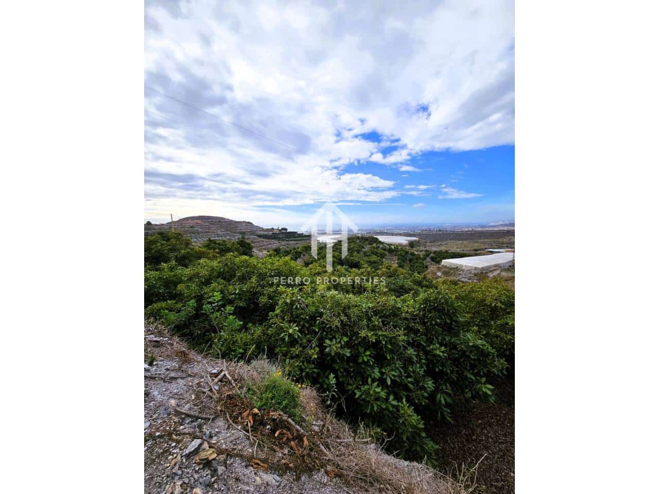 Finca/Landhuis te koop in Motril - € 645.000 (Ref: 9152642)